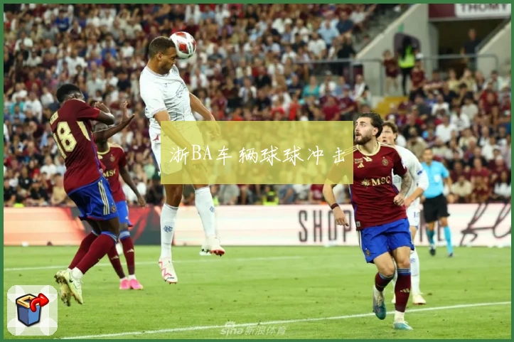 浙BA车辆球球冲击