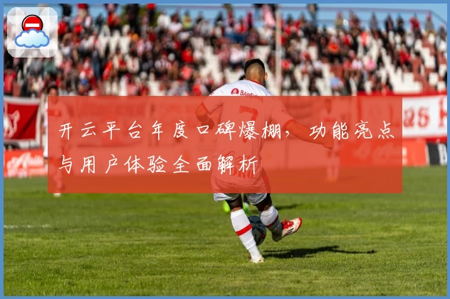 开云平台年度口碑爆棚，功能亮点与用户体验全面解析