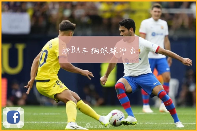 浙BA车辆球球冲击